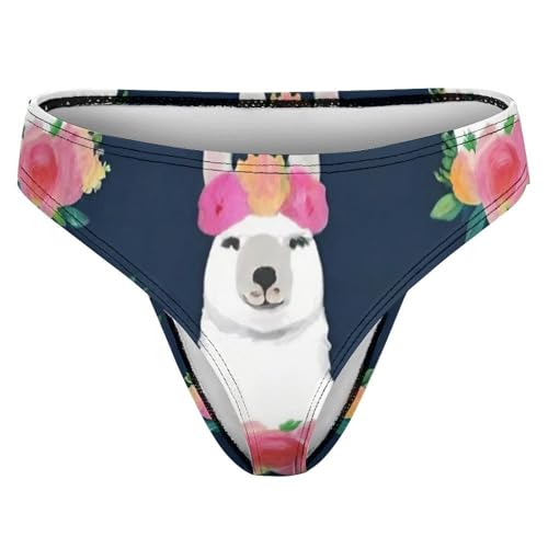 Women's Comfortable Hipster Briefs Panties Board Triangle Briefs Bikini4