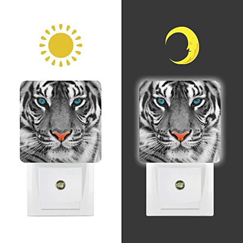 Acozuhse Led Night Lights Lamp With Dusk To Dawn Sensor, A Tiger With Blue Eyes Night Lamp, Night Lights Plug Into Wall For Kids Room, Bedroom, Bathroom, Kitchen, Hallway #TOP4