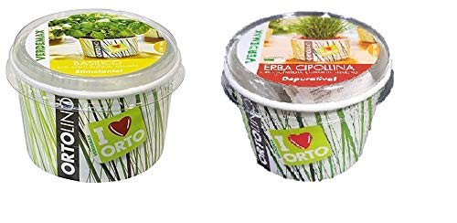 Todo Cultivo Kit de plantación de Semillas ALBAHACA Y CEBOLLINO