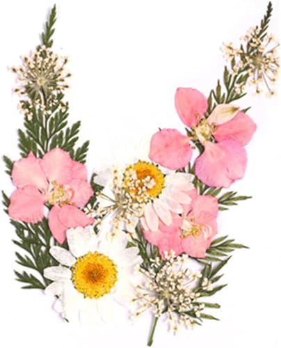 Flores secas para manualidades DIY y decoración