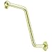 Pegasus A558213PBV S Style Shower Arm and Flange, Polished Brass