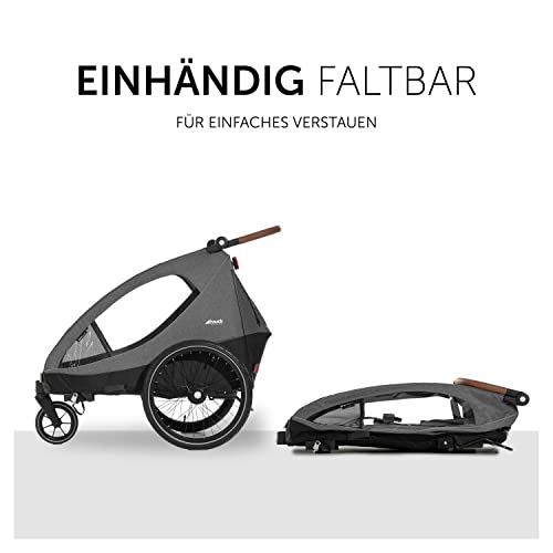 hauck Dryk Duo, Melange Grey - 2in1 Fahrradanhänger & Kinderwagen für 2 Kinder ab 6 Monaten bis 22 kg/120 cm/4 Jahre, für Zwillinge & Geschwister, Faltbar, XL Stauraum, für Fahrrad, E-Bike & Pedelec