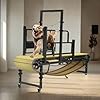 PawPaw's Dog Treadmill for Large Dogs, Medium Dogs with Brake. Dog Slatmill for Healthy & Fit Dog Life, Dog Treadmill for Indoor & Outdoor (Upgraded Medium(Brake and Plastic Track))