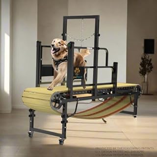 PawPaw's Dog Treadmill for Large Dogs, Medium Dogs with Brake. Dog Slatmill for Healthy & Fit Dog Life, Dog Treadmill for Indoor & Outdoor (Upgraded Medium(Brake and Plastic Track))