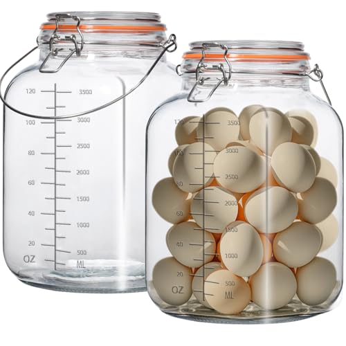 Galssmagic 2 Pack 1 Gallon Glass Jar with Airtight Lids,Super Wide Mouth Large Mason Jars 128 oz,Glass Gallon Jugs Storage Container for Sun Tea,Kombucha,Storing,Canning