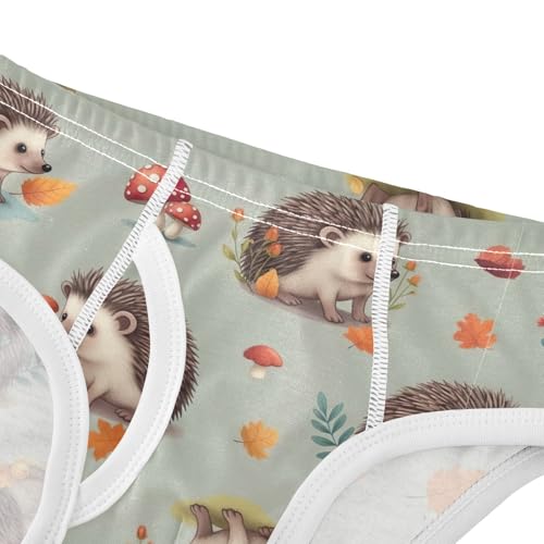 CHIFIGNO Boys' Briefs Cute Hedgehog Mushroom Toddler Boys Underwear Soft Cotton Briefs Underwear4