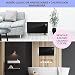 Klarstein Bornholm Curved Ambient - Convector, Calefactor, 1000 o 2000 W de...
