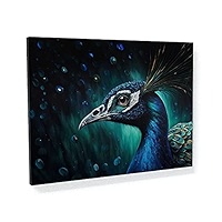 ★Original ART  ‘Peacock’ Peacock Painting Vibrant Watercolor Original Art Couple