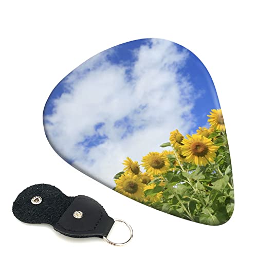 M^[sbN 6Zbg 0.46mm 0.71mm 0.96mm GLM^[ x[XpsbN EN M^[ ABSf GNgbN AR[XeBbN y S gCAO sbNi Ђ܂蔨Ɖċ j