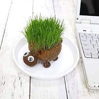 Amazon｜【ブルーミングスケープ】イタリアンライグラス（牧草）の