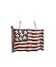 Carved Flag Arrow Replacement, Red, White and Blue