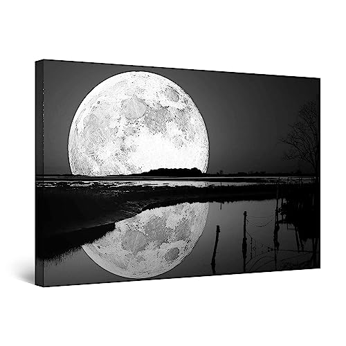 Startonight Quadro su Tela Bianco e Nero Riflesso