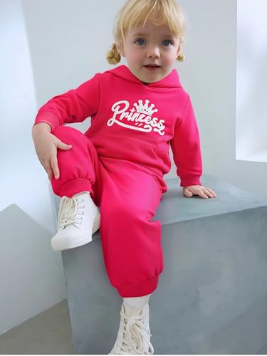 Image of Kid Toddler Girls Clothes Cartoon Pattern Print Sweatshirt Hoodie Sports Pants 2PC Girl Fall Winter Clothing Set