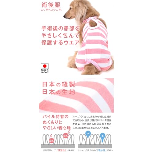 すとろーはうすフルオブビガー『パイルボーダー術後服エリザベスウエア』