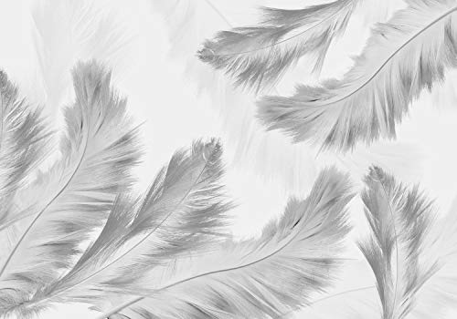 wandmotiv24 Fototapete Federn grau, XL 350 x 245 cm - 7 Teile, Wanddeko,...