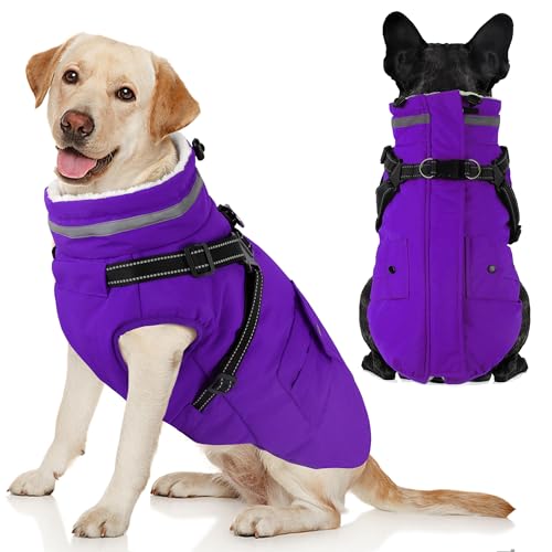 Dogcheer pR[g n[lXt h g pEB^[WPbg |Pbgt  ybg t[X WPbg ^[glbN Xm[X[c ^  ^p - p[vAM