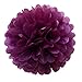 Produktbild JZK 10 x Pompoms Pompons, 25cm Durchmesser, Seidenpapier Blume Deko für Wohnzimmer Hochzeit Geburtstag Babyparty Kinder Party Weihnachten Silvester (Pflaume lila)