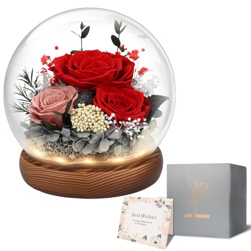 Preserved Flowers Valentines Day Gifts, Gifts for Her, Mom Wife Grandma Girlfriend, Fresh Flowers for Delivery Prime, Real Eternal Rose for Christmas, Birthday, Anniversary, Red