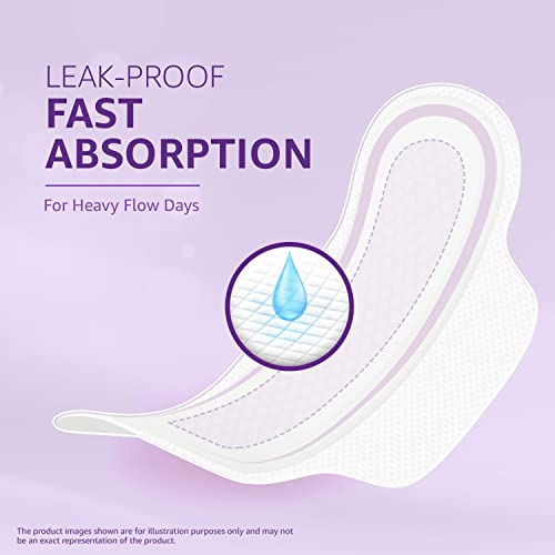 Amazon Brand - Solimo Super Cottony XL, 40s x 1 (Pack of 40 Napkins) - Image 6