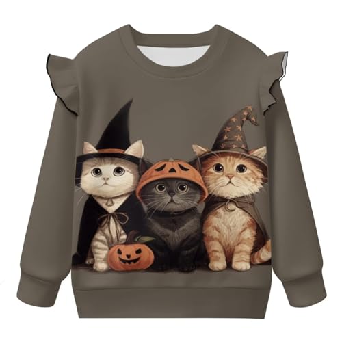 Toddler Girls Ruffle Long Sleeve Shirt Crewneck Long Sleeve Blouse Tops for Fall Winter Sweatshirt 1-8 Ages4