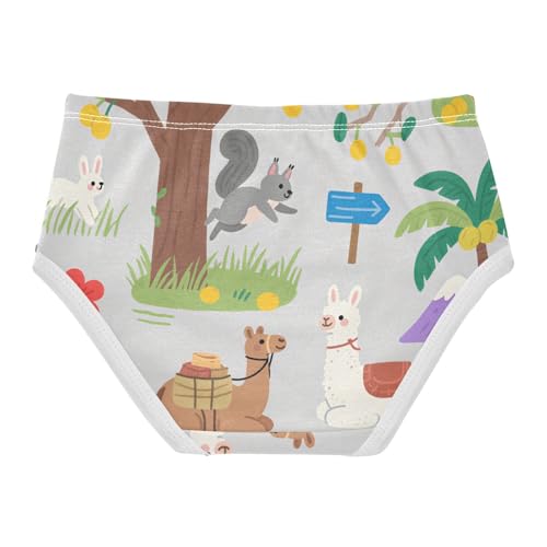 GuoChe Briefs Elastic Waistband Panties Organic Underwear for Toddlers in Sizes 2T,3T, 4T, 5T, 6Y and 8Y2