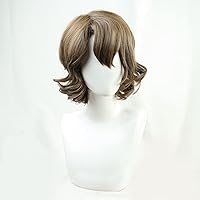 Amazon.co.jp: 猫の城 魔法使いの約束 ファウスト コスプレウィッグ