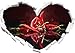 KAIASH 3D Stickers Muraux Fiery Piment Rouge Choten Art Brosse Effet Forme de Coeur en 3D Look Mur ou Porte Autocollant Sticker Mural Sticker Mural décoration Murale 62x43cm