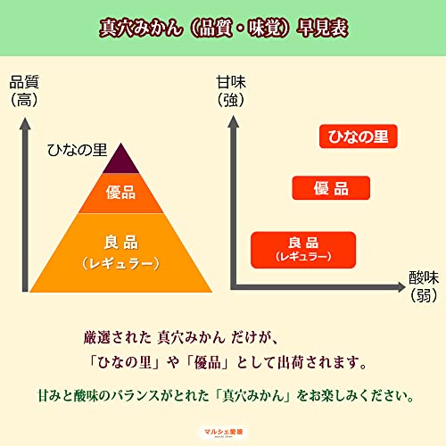 マルシェ愛媛 真穴みかん (優品 サイズ混合 2Kg) の商品画像 2