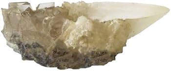 41VXxPWXPjL._AC_UF350,