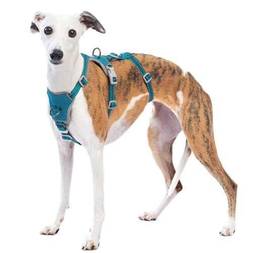 Huntboo Sicherheitsgeschirr Hund Ausbruchsicher, Panikgeschirr für Hunde, Anti Zug Hundegeschirr, Reflektierend, Verstellbare, Leichte Weste für kleine, mittelgroße und große Haustiere (Blau,M)