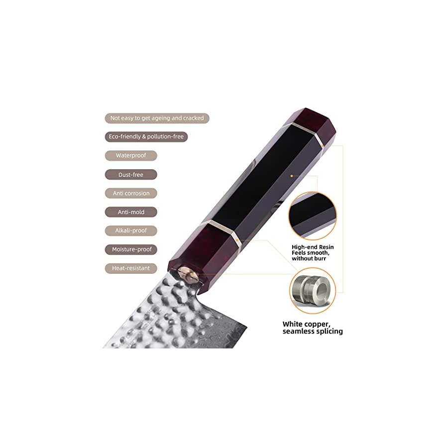 FINDKING Eternity Series Japanese Chef Knife with ABS sheath, Professional Kitchen Knife, 9Cr18MoV Damascus Steel Blade, Resin Octagonal Handle, Sharp, for Meat Cutting, 8 Inches