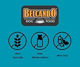 Belcando Baseline Nassfutter Mix 6x400g – Alle 6 Sorten im Paket: Forelle, Huhn, Lamm, Rind, Truthahn, Wild mit Ente – Alleinfutter für ausgewachsene Hunde – ohne Soja & künstliche Zusatzstoffe