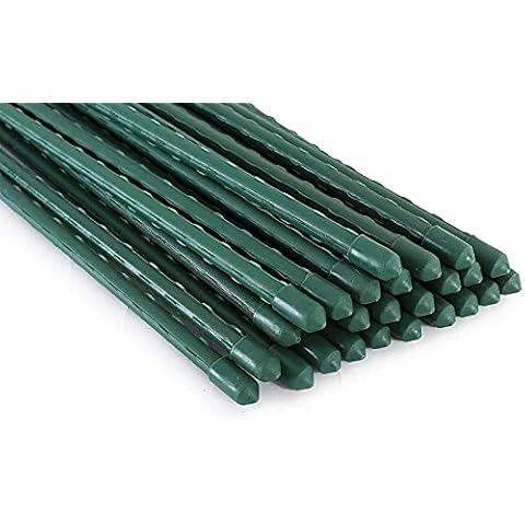 A Bundle of Tingyuan 25 Pack 2 FT Garden Stakes with 25 Pack 3FT Garden Stakes Cover