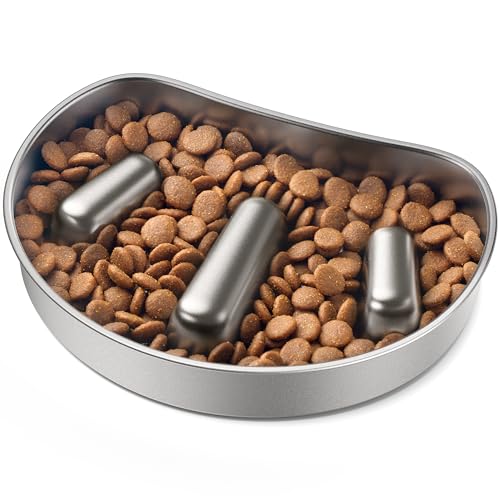 PETLIBRO Slow Feeder Bowl for Small Dogs & Cats, 1.125 Cup— Anti-Gulp Stainless Steel Dog & Cat Bowl, Helps Reduce Risk of Bloat, Dishwasher Safe — Compatible with PETLIBRO Camera Automatic Feeder