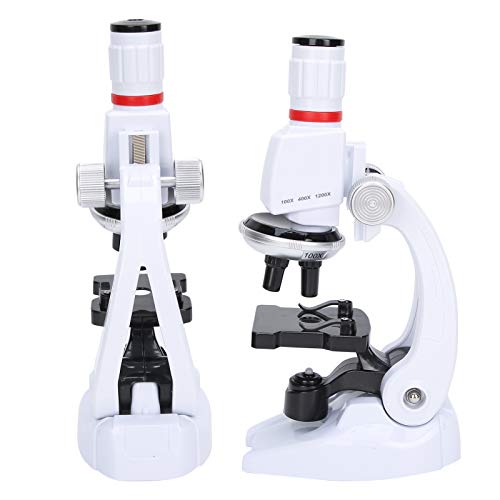Conjunto de microscópio infantil com suporte para celular, simulação, alta resolução 1200x