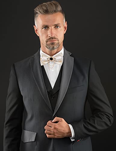 Image of DiBanGu Silk Woven Bowtie Mens Self Bow Tie Set with Lapel Pin | Paisley Floral Pattern,Bow Ties for Men,Easy to Match,Lapel Pin, Pocket Square,Cufflinks,Wedding Ceremonies,Party Occasions