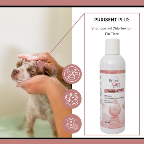 Purisent Plus Chlorhexidin Shampoo 250 ml für Hunde & Katzen: Sanfte Reinigung bei Hautproblemen, Mit Chlorhexidin gegen Keime & Malassezien, Ohne Duftstoffe, Für empfindliche Haut