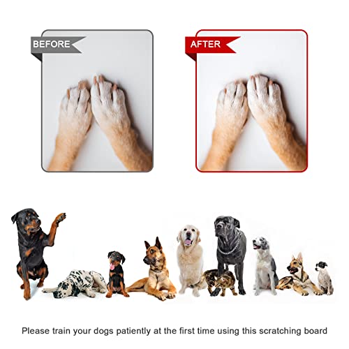 Kratzbrett für Hunde - Stressfrei Nagelpflege mit Leckerlibox - Alternative zu Krallenknipsern und -Schleifern