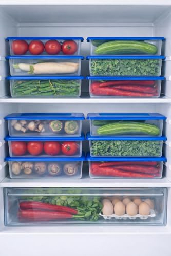 Image of Fridge Storage Containers Set of 4 (1500 ML Each) with LID, Stackable Fridge Storage Boxes for Fruits & Vegetables, BPA Free Kitchen Storage Containers for Fridge