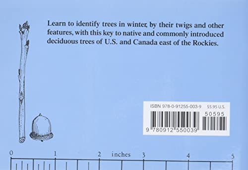Winter Tree Finder: A Manual for Identifying Deciduous Trees in Winter (Eastern US) (Nature Study Guides) - Image 2