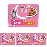 PURINA ONE