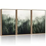 SHENIFY Green Fog Pine Tree Forest Canvas Wall Art 11x14in Framed Nature Modern Artwork Prints Decor - Natural Framed