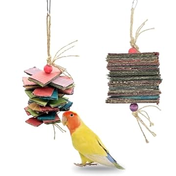 best bird toys for cockatiels that like cardboard - find the hidden gems 2 best bird toys for cockatiels that like cardboard
