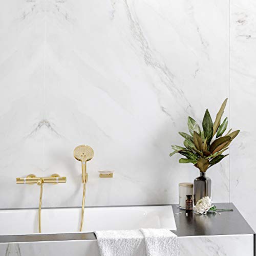 hansgrohe wassersparender Duschkopf Raindance Select S 120 (Regendusche, 3 Strahlarten), Polished Gold Optik