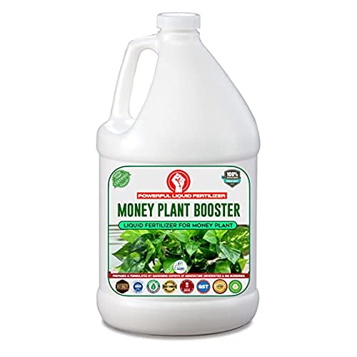 Erwon Money Plant Booster Premium Essential Powerful Liquid Fertilizer Best  | Desertcart QATAR