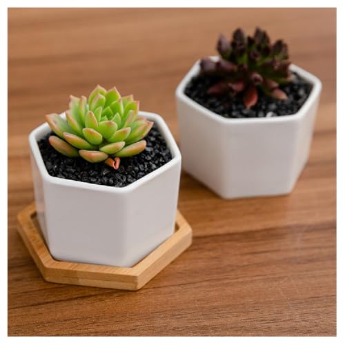  Aؔ 픫 A rgCt  ~jv^[  T{e k 6Zbg |ؐgC   v^[ CeA Vv A A OKp (2Zbg)