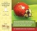 The 2026 Old Farmer's Almanac Everyday Box Calendar