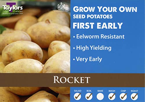 Taylors 2kg Rocket First Early Seed Potatoes