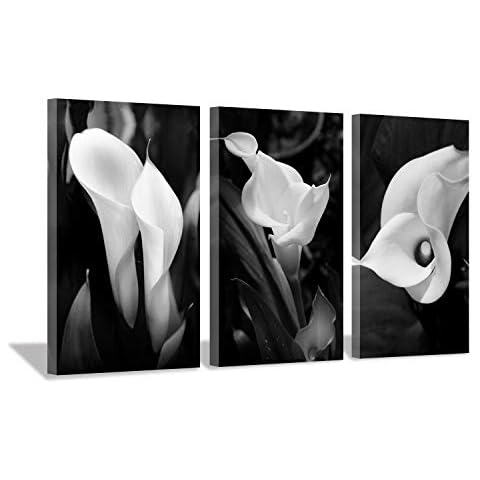 Hardy Gallery Floral Artwork Nature Flower Picture: Calla-Lily Print on Canvas Set for Wall Art (20 inch x 34 inch x 3 Panels) Cover