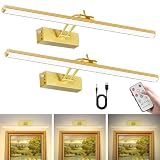 YQNLIFA 2Pack Picture Light, 5200mAh Rechargeable Picture Light for Wall with Remote Control and Timer, 300LM 16' Metal 3000K Warm Light Dimmable Art Light for Frame, Artwork, and Paintings(Gold)